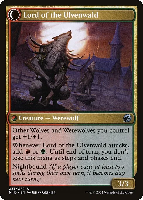 Kessig Naturalist // Lord of the Ulvenwald (back)