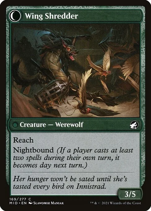 Bird Admirer // Wing Shredder (back)