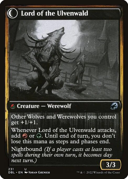 Kessig Naturalist // Lord of the Ulvenwald (back)